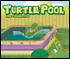 turtle pool game
