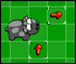 cow maraton