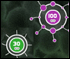 tentacle wars game
