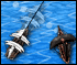 pirate conflict
