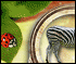 zoo break out game